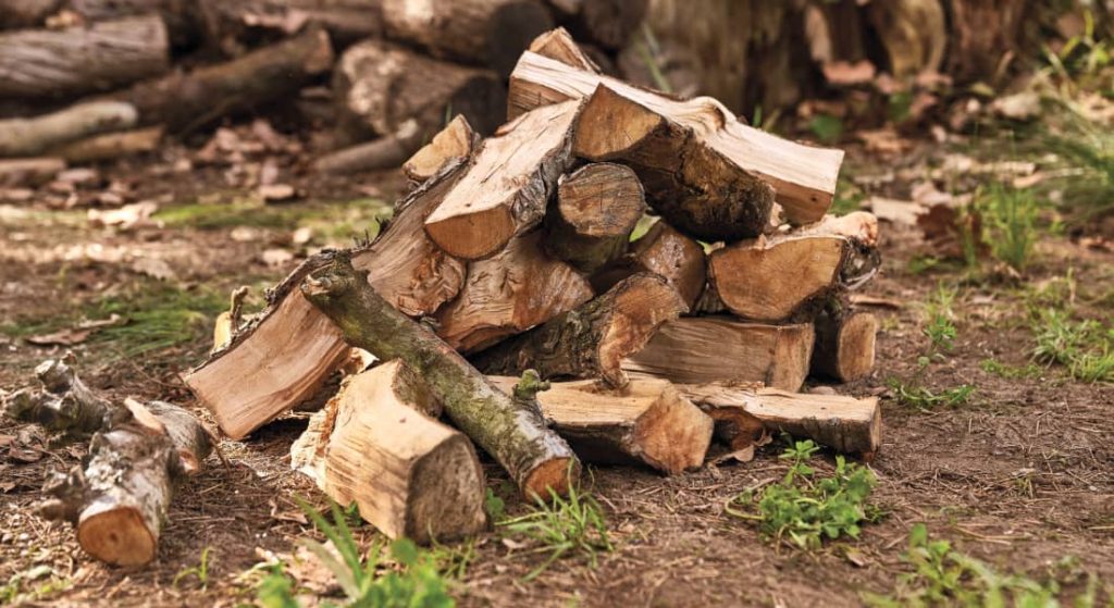 Winter im Süden Chiles., Holz machen ist amtlich
